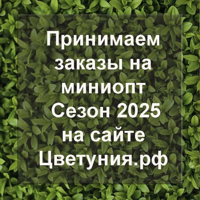 Прием заказов на миниопт