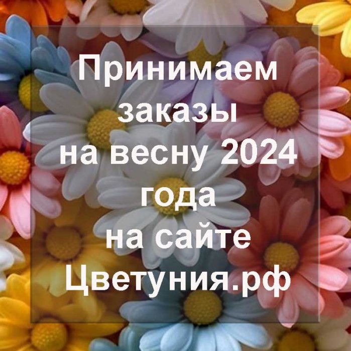 Открыт приём заказов на февраль 2024 год