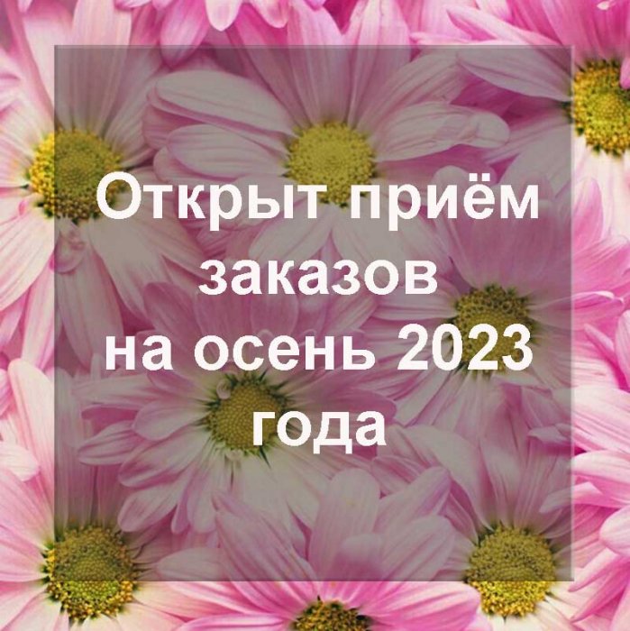  Принимаем заказы на осень 2023