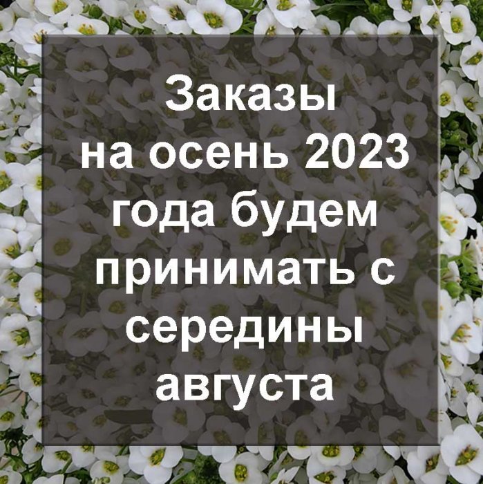 Приём заказов на осень 2023.