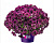 Петуния Splash Dance Magenta Mambo