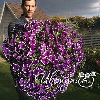 Петуния AlpeTunia Glacier Sky (13шт.) АПРЕЛЬ