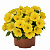 Петуния Surprise Canary Yellow