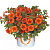 Калибрахоа Aloha Kona Orange