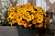 Петхоа Beautical Sunset Orange