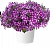Петуния Cascadias Fuchsia Gem