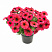 Петхоа Chameletunia® Bordeaux (13шт.)