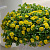 Калибрахоа  MiniFamous Neo Double Yellow