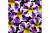 Калибрахоа Candy Shop Grape Splash (13шт.) МАРТ