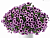 Петуния CASCADIAS Purple Ice (13шт.) АПРЕЛЬ