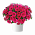 Петуния CASCADIAS™ Fuchsia