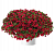 Калибрахоа Lia Dark Red