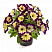 Петуния Crazytunia Moonstruck (13шт.) АПРЕЛЬ