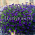 Петуния Mini Vista Violet