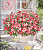 Петуния Amore King of Hearts