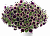 Петуния Cascadias Rim Magenta