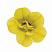 Калибрахоа Aloha Double Yellow