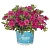 Калибрахоа Aloha Kona Hot Pink