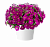 Петуния Cascadias Rose