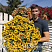 Петхоа Chameletunia® Caramel Yellow
