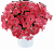 Петуния CAPELLA™ Coral