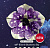 Петуния Bonnie Blueberry Sky