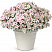 Петуния Vista Silver Berry
