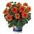 Георгина Hypnotica Orange (13 шт.) МАРТ