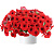 Петуния CASCADIAS Chili Red