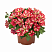 Петуния Peppy® Yellow Red (Smartunia Windmill Red) (13шт.) МАРТ