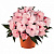 Бальзамин новогвинейский Soft Pink