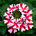 Вербена Lanai Candy Cane