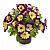 Петуния Crazytunia Moonstruck (13шт.) АПРЕЛЬ