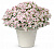 Петуния Vista Silver Berry