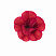 Калибрахоа Aloha Double Red