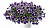 Петуния Cascadias Rim Violet (13 шт.) АПРЕЛЬ
