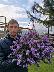 Бакопа Double Indigo