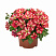 Петуния Smartunia Windmill Red